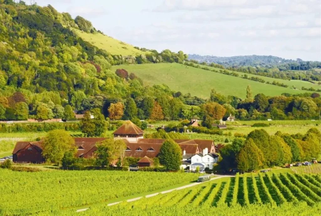Scenic countryside view of Surrey after a successful long distance removal from London by Master Movers London.
