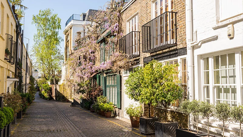 Removals Kensington & Chelsea